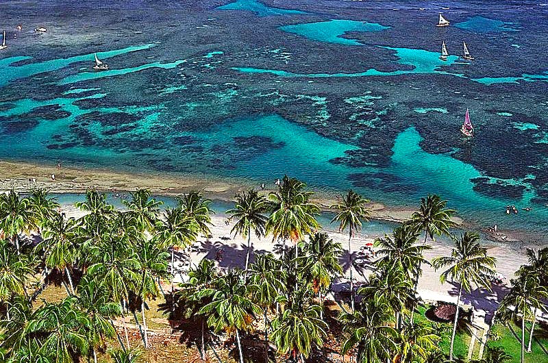 UMA VIAGEM HISTÓRIA À PORTO DEGALINHAS